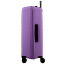 Valise Lavande 4 roues Extensible 77x51x30/34 cm Striper| Jump® Bagages