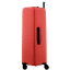 Valise Corail 4 roues Extensible 77x51x30/34 cm Striper| Jump® Bagages